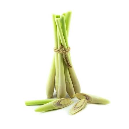 Lemongrass Fresh