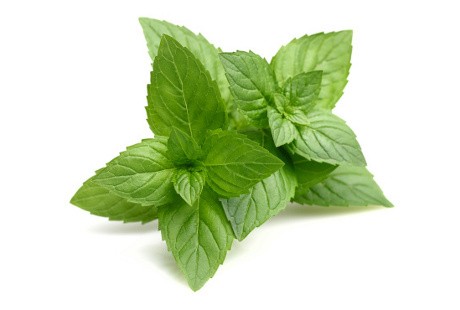peppermint